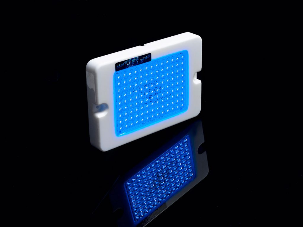Marine Night Lights