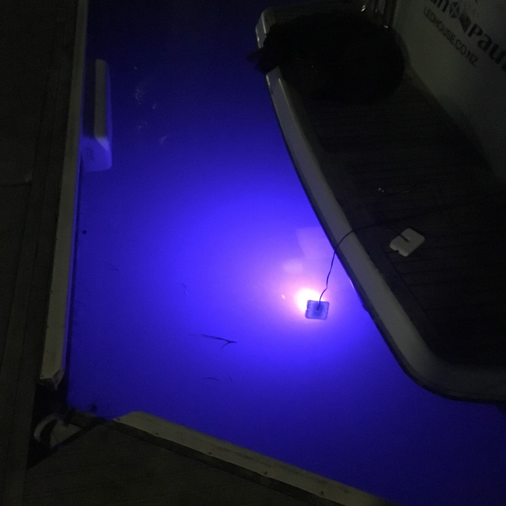 Marine Night Lights