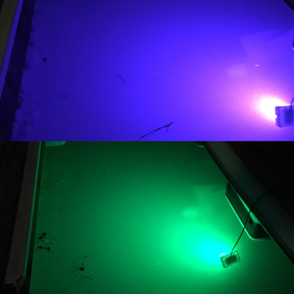 Marine Night Lights
