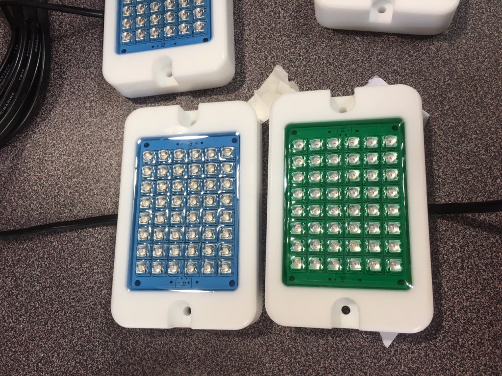 Marine Night Lights