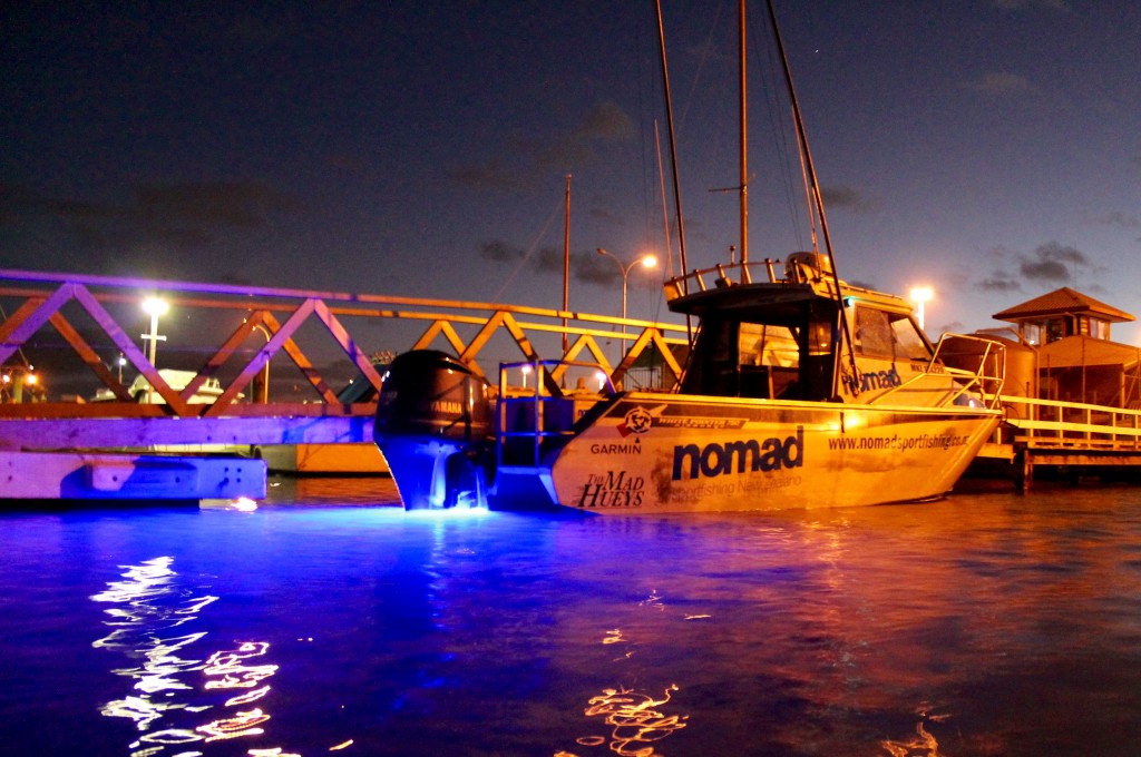 Marine Night Lights