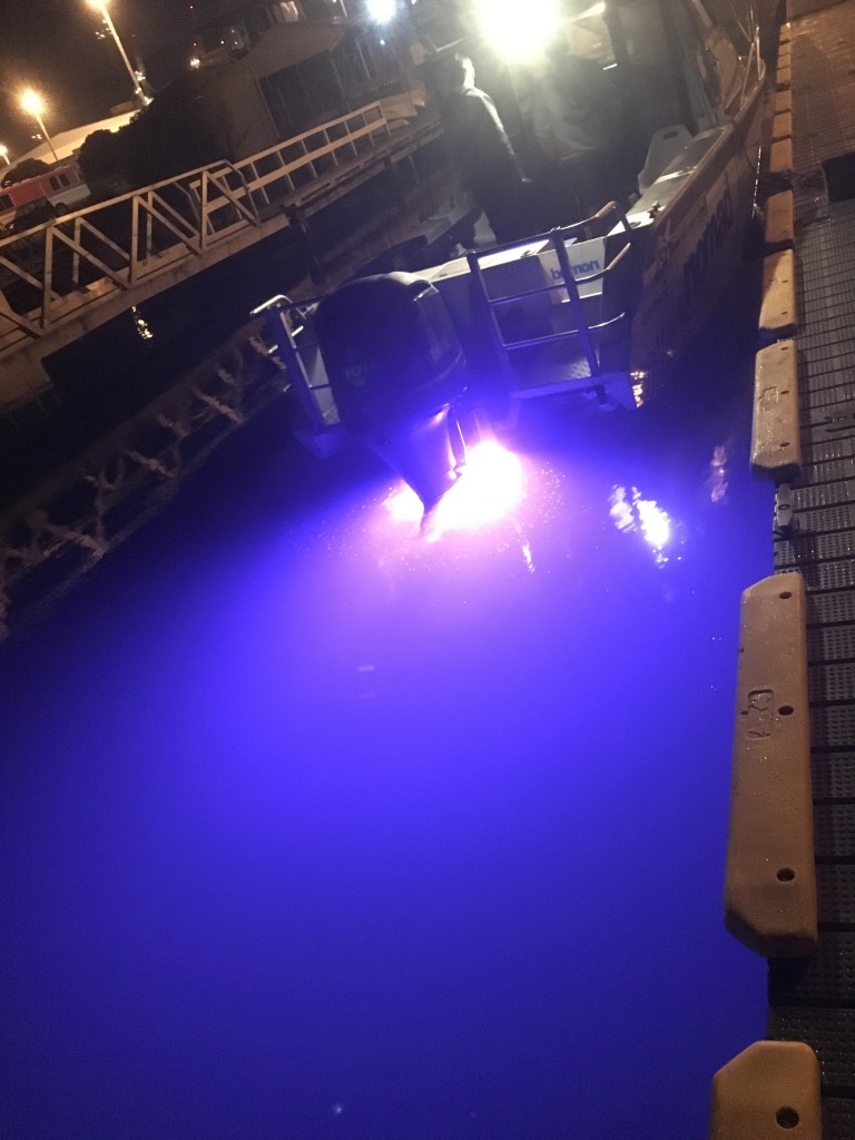 Marine Night Lights