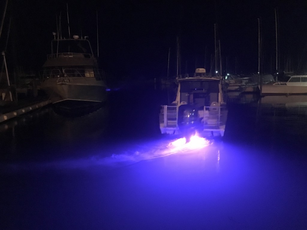 Marine Night Lights