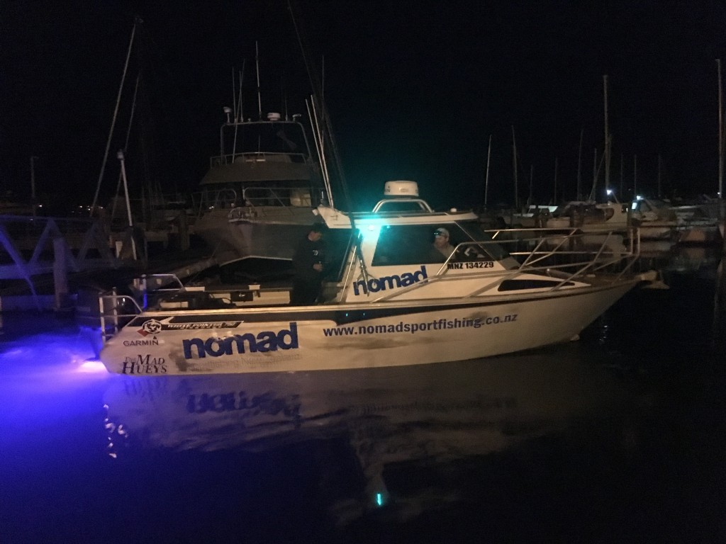 Marine Night Lights