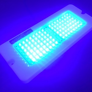 Marine Night Lights Oblong Blue Glowing LEDs