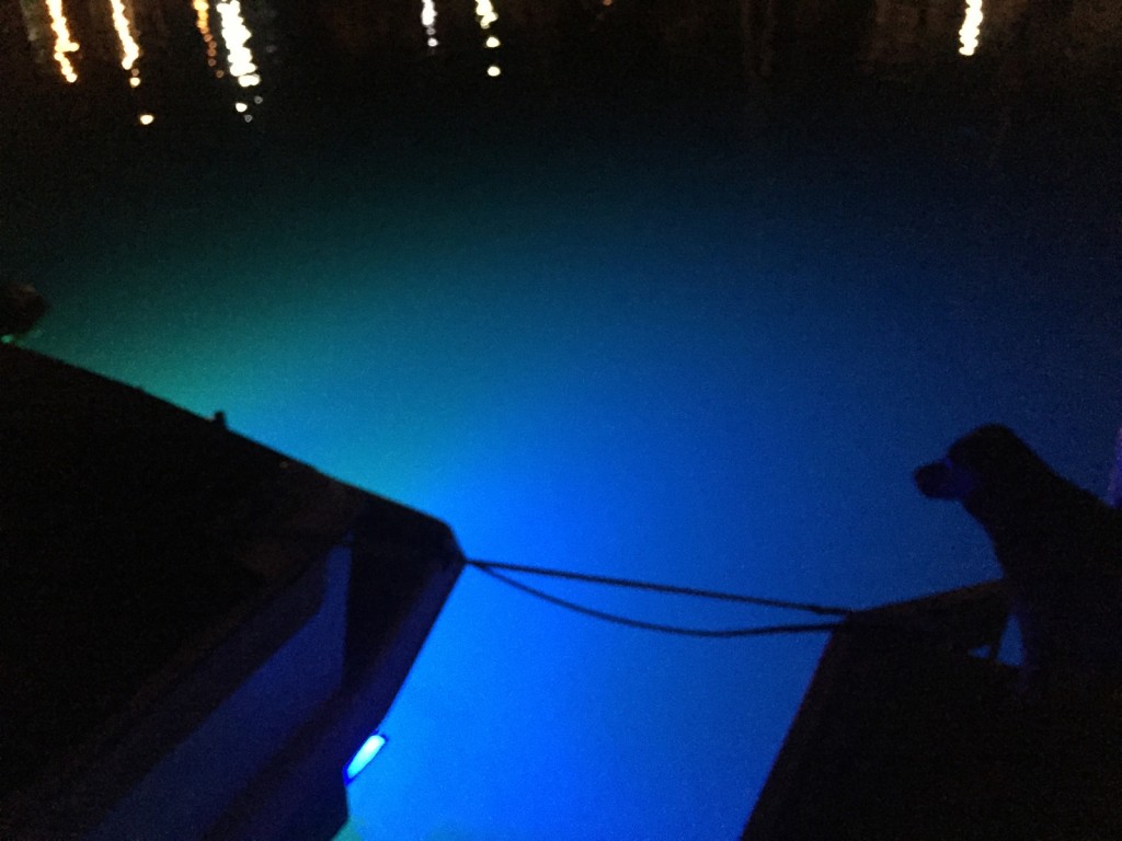 Marine Night Lights