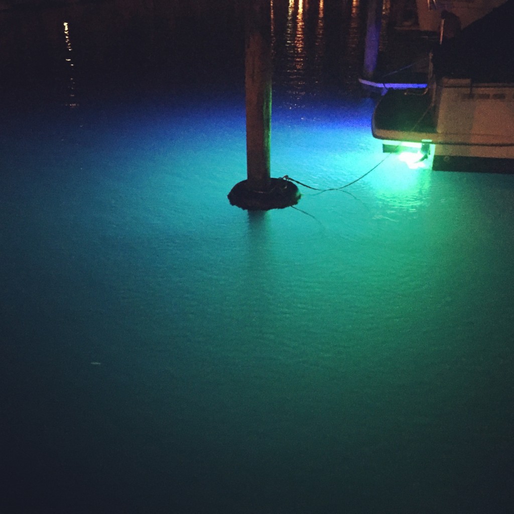 Marine Night Lights