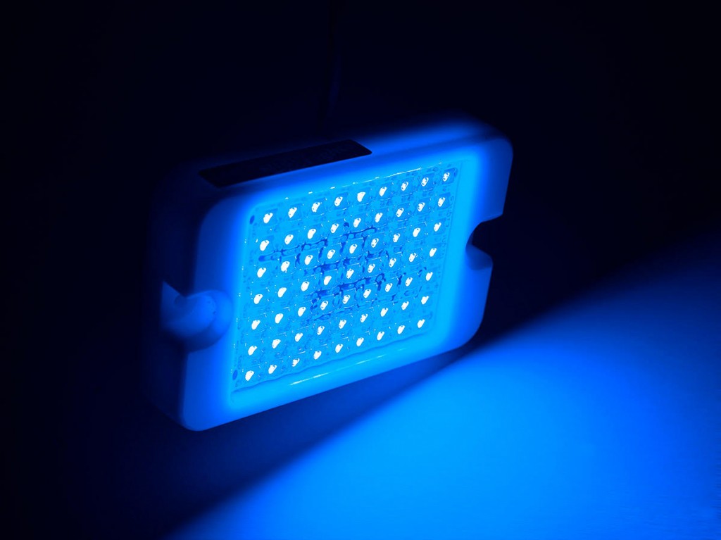 Marine Night Lights