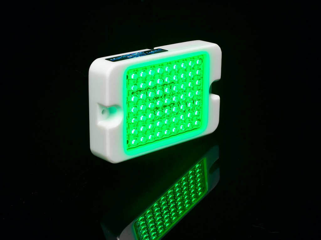 Marine Night Lights